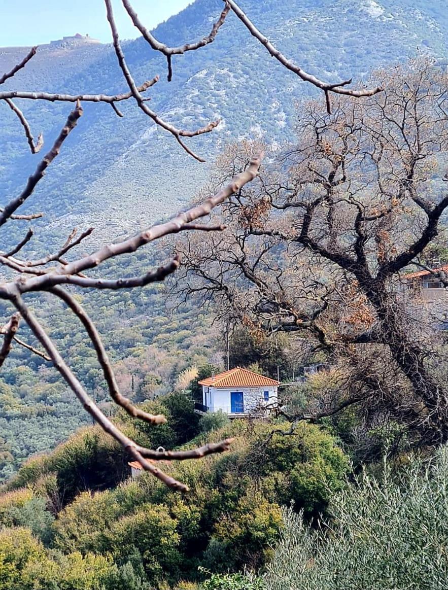 The Lookout